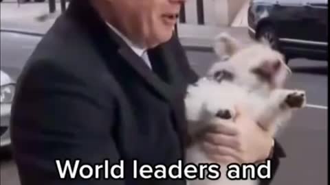 World Leaders and their Dogs