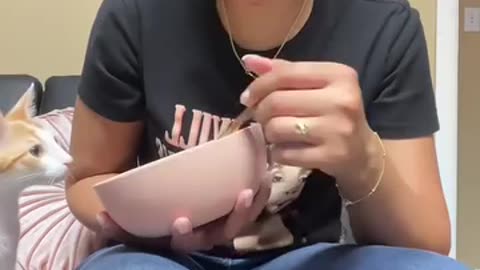 **HI***