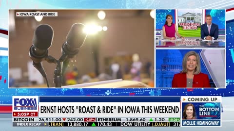 Democrats gave middle America the middle finger: Joni Ernst
