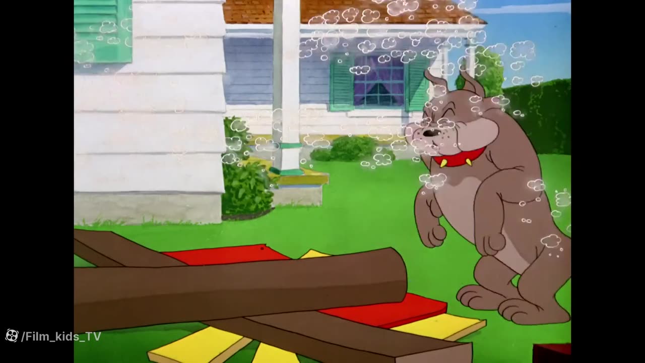 Tom & Jerry | cartoon | viral | cartoon movie | Animated Cartoonfunny |animation