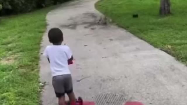 Excuse me 🦆🐣🦆