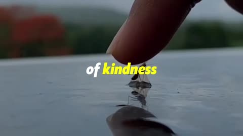 Kindness