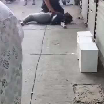 Apparent Murder Suicide In Jamaica Queens New York City. Both Did Not Survive