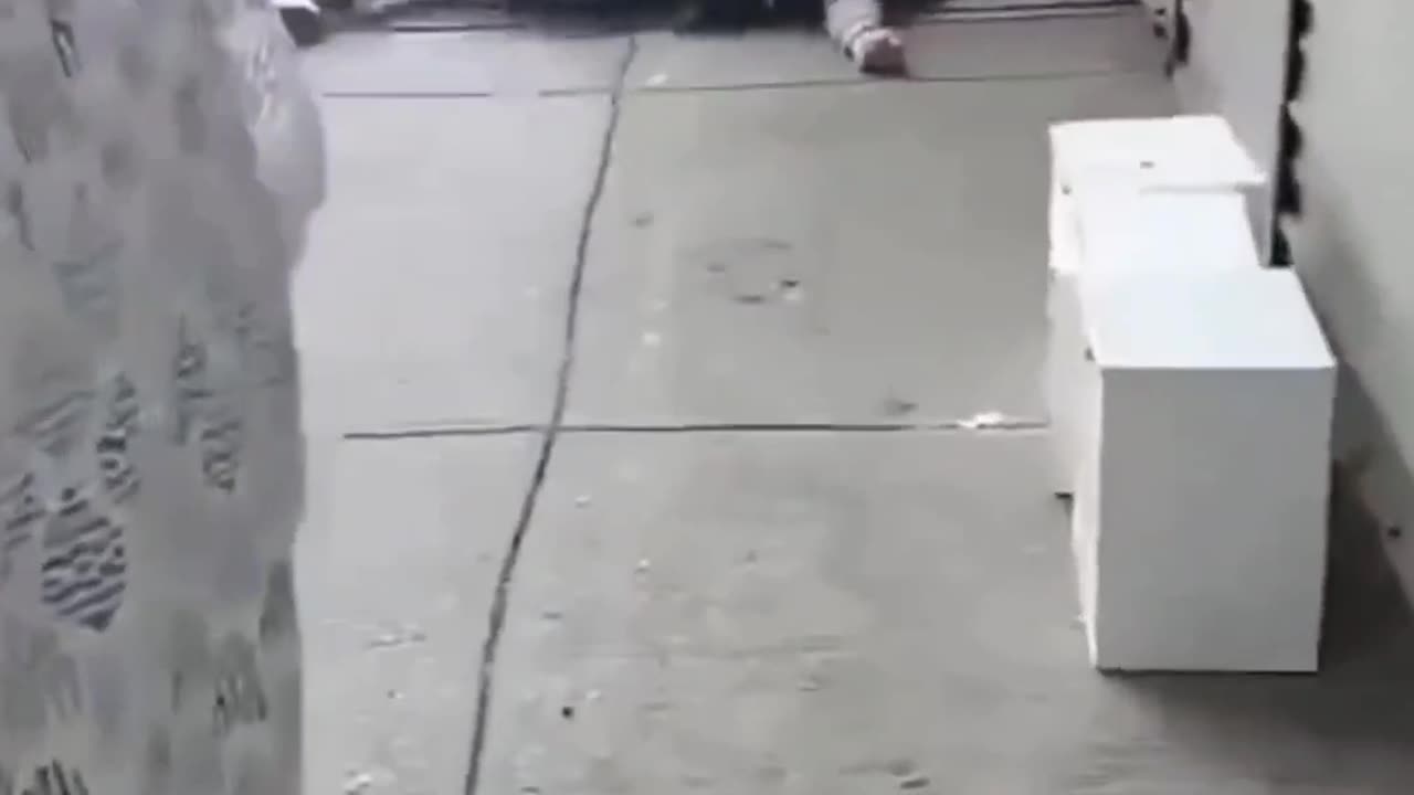 Apparent Murder Suicide In Jamaica Queens New York City. Both Did Not Survive