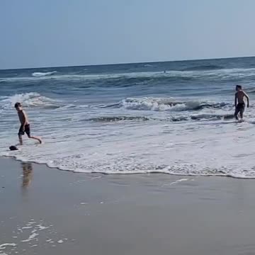 Absolutely Beautiful!