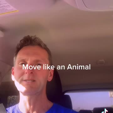 Animal Movement