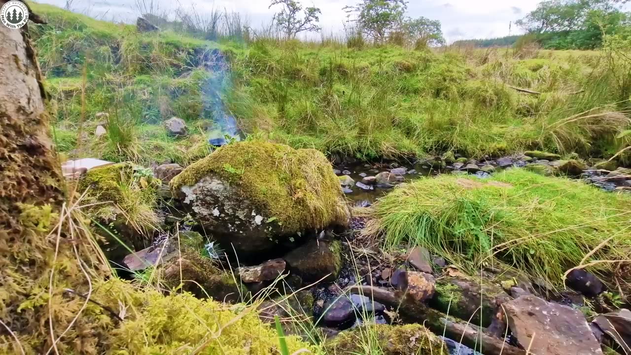 Pour les fans de pâtes seulement, préparation d'alfredo de poulet ASMR “Nature “