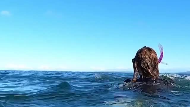 Very close encounter footage dolphins