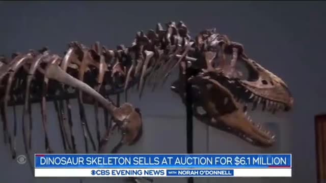 Sotheby's New York auctioned off an item 76 million years in the making.