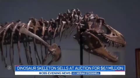 Sotheby's New York auctioned off an item 76 million years in the making.