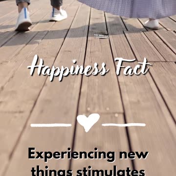 The Science of Love: Understanding the Brain Chemistry