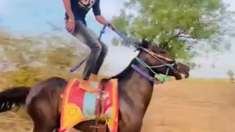 morli hoo (jiv)#viral #horse #shorts