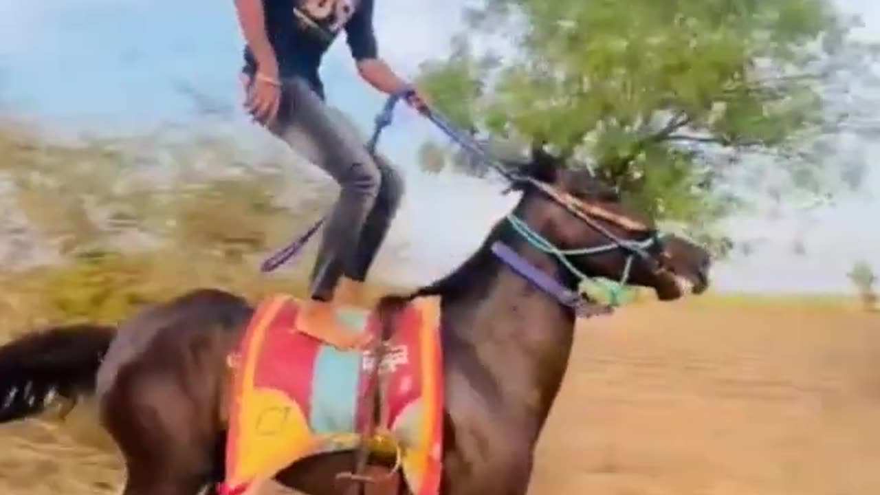 morli hoo (jiv)#viral #horse #shorts