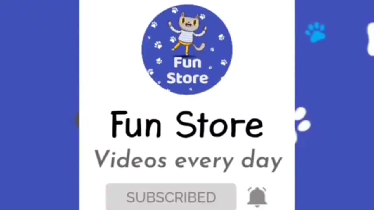 Animal funny video