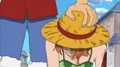 Nami was entrusted to protect the straw-hat