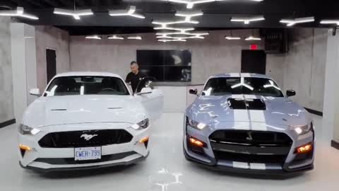 MUSTANG Dreams vs Reality