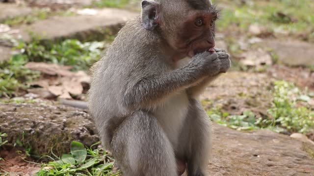 So cutest little baby Jessie eat fruit