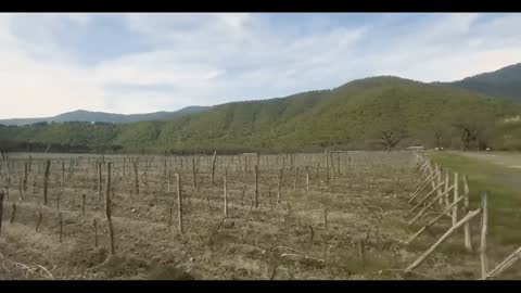 Natural scenery