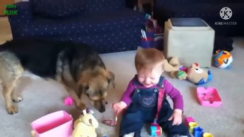 FUNNY BABIES AND DOG