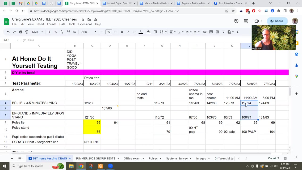 Health Alkemy Health Tips - The Energy Index, What is This? August 3 2023