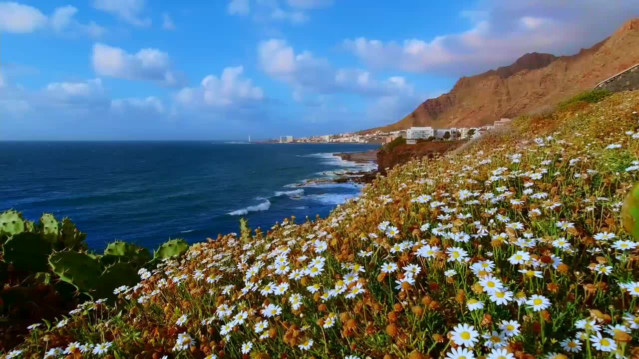 Beauty of nature