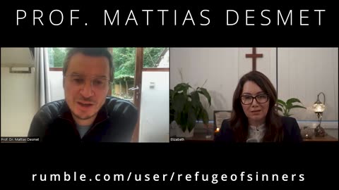 Professor Mattias Desmet - Transhumanism is the real danger at the moment.