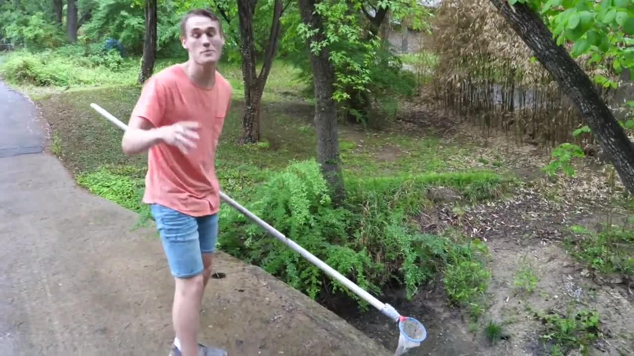 Baby Snapping Turtle vs Crayfish13