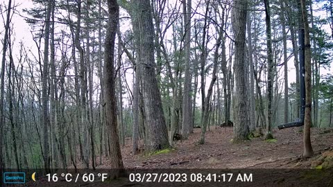 The Woods – 03/27/2023