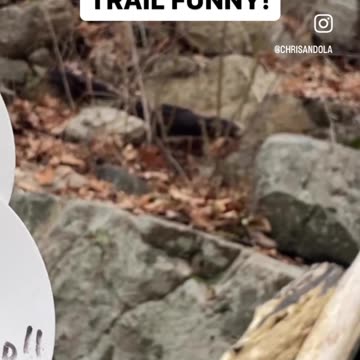 FUNNY EASTER EGGS ON THE MARKERS