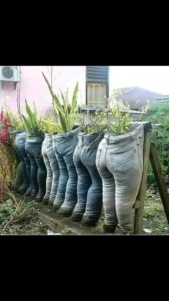 Funny , crazy thinking