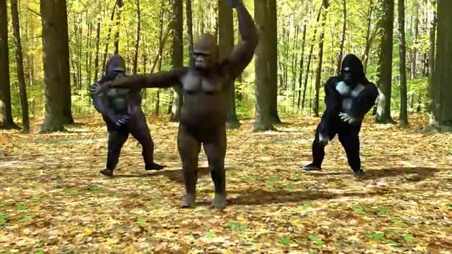 Things We Do Official Music Video (Dancing Gorillas)_Cut