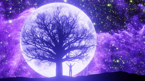 Lt Music, is a channel dedicated to a new concept of varied music