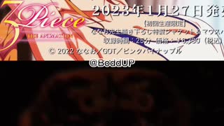 3 Piece the Animation