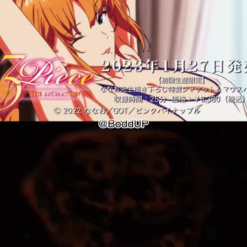 3 Piece the Animation