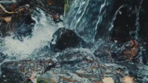 Discover the ART OF WU WEI
