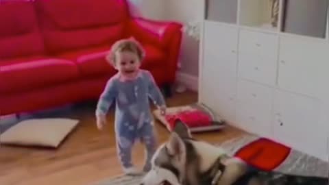 dog played baby