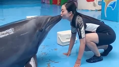 Dolphins love with Human