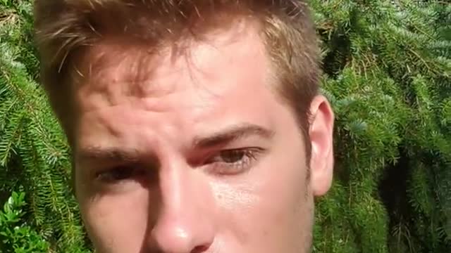 Dreaming Body Healing Part 3 | Sean Bond | Detoxing Gut Brain | Negative Data Release