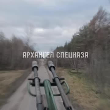 On the way to the forest