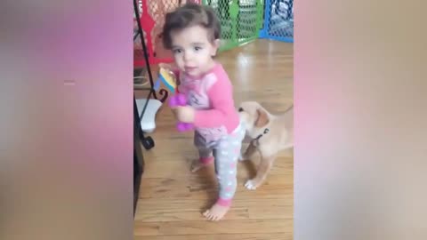 Dog Always Pulls Child