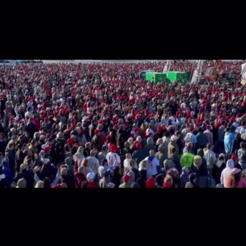 Look At All The Sheeple 🐑