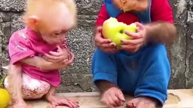 The apples are delicious