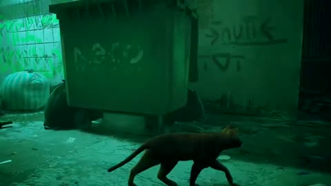 [PS5] - [Stray] Part 1 - Kitteehhsss!!