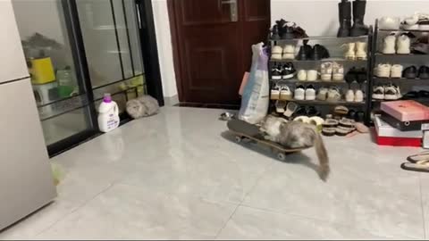Cute Moment 🥰
