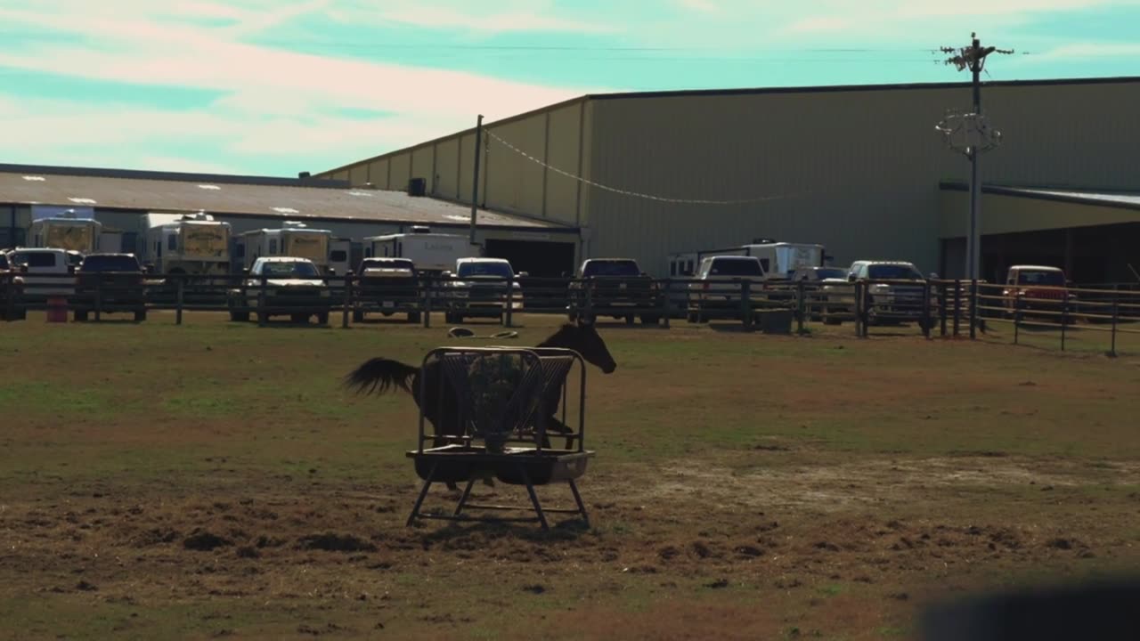 Country Music and Horse/Música Country e Cavalo