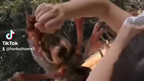 Asian Action Movie