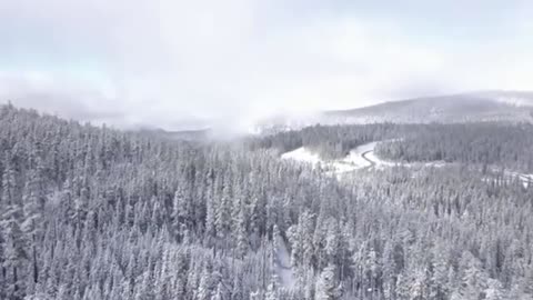 Relaxing Music | Sleeping, Meditation, Stress Relief | [1443] ⭐️