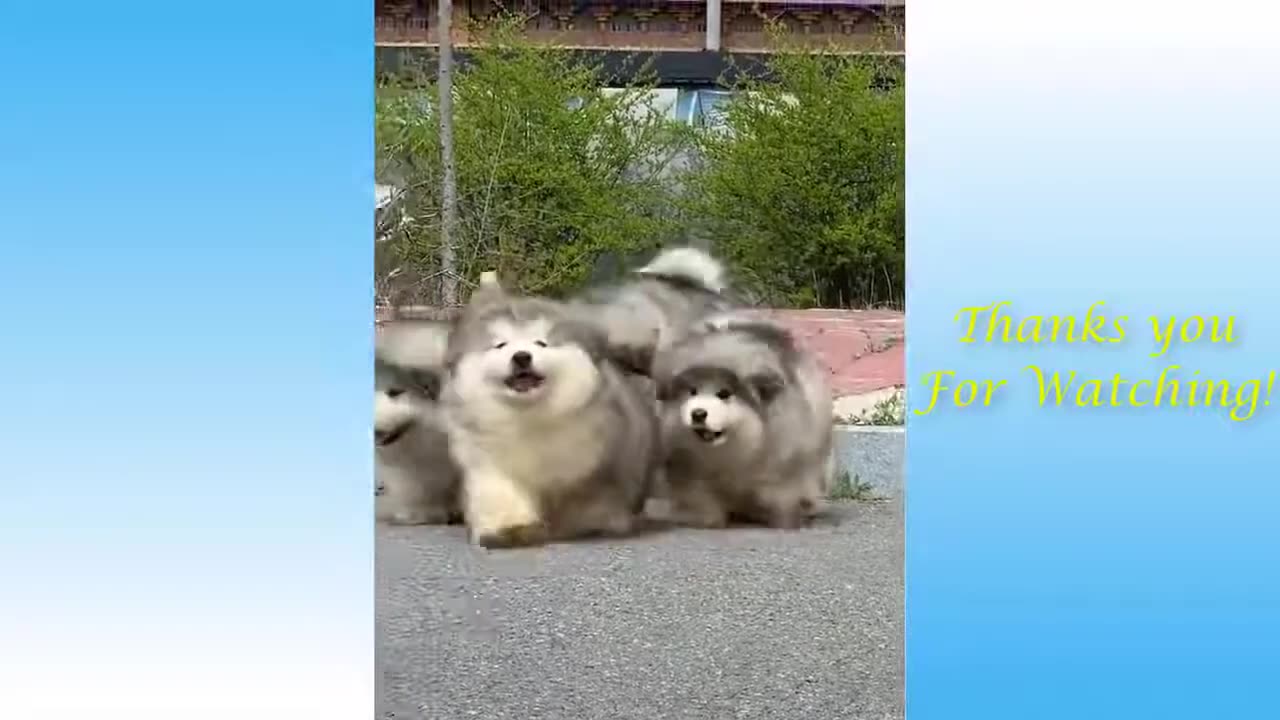 #Funny