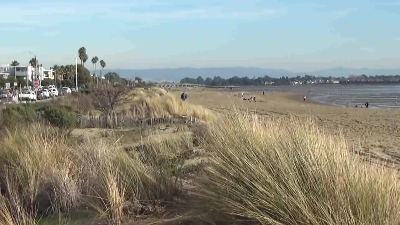 Alameda, CA — Crown Memorial State Beach #2