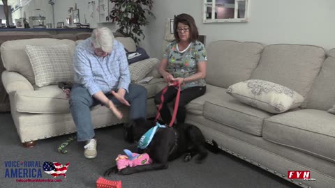 PET OF THE WEEK - Meet Sebastian - www.HumaneSocietyofBlueRidge.org